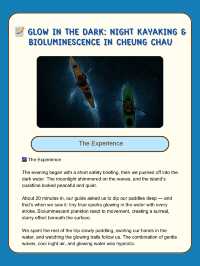 📝 Glow in the Dark: Night Kayaking & Bioluminescence in Cheung Chau