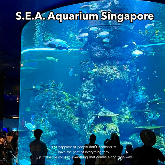  🌊 SEA Aquarium Singapore – Dive Into the Deep Blue 🐠🐟