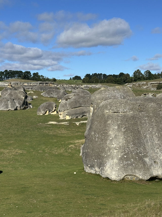 🇳🇿Elephant Rocks: Stepping Into Narnia’s Real-Life Wonderland
