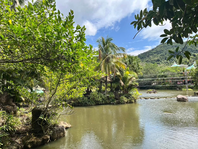 🌿 Yanoda — Hainan’s Tropical Rainforest Wonderland