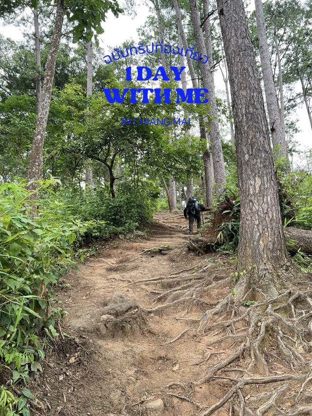 ลานกางเต็นท์ ย.2 ดอยขุนตาล ลานกางเต็นท์ ย.2 ดอยขุนตาล