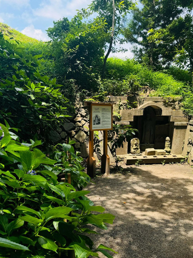 【清澄庭院｜東京深巷裡的幽靜庭園】