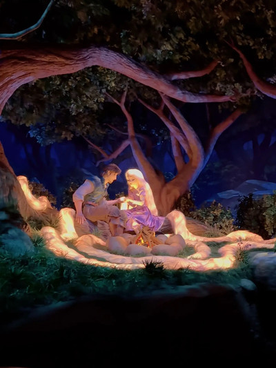 東京ディズニーシーで購入✤カーテン 塔の上のラプンツェル 東京ディズニーシーで購入✤カーテン 塔の上のラプンツェル 東京