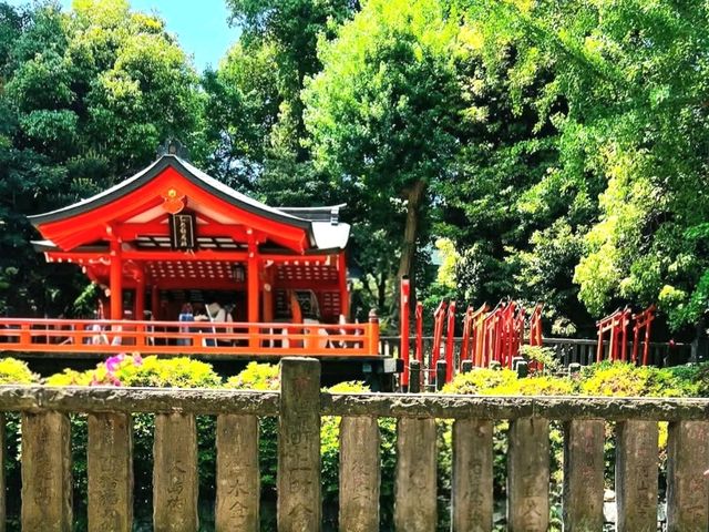 Blossoms of Tradition: Nezu Shrine Azalea Garden Blossoms of Tradition: Nezu Shrine Azalea Garden
