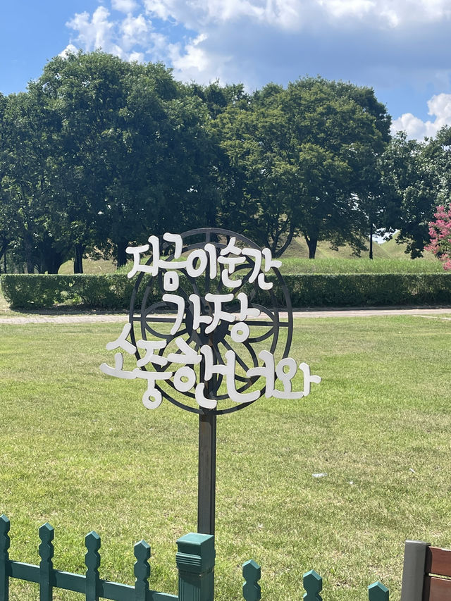 【慶州 경주】 屋上のある美術館👩🎨 【慶州 경주】 屋上のある美術館👩🎨