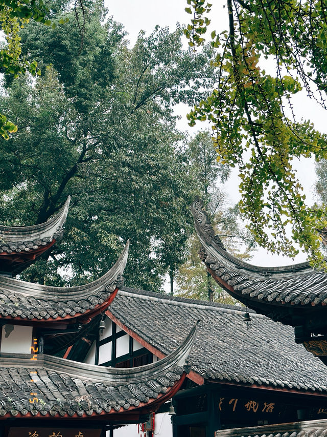 Thành Đô - Văn Thù Viện 文殊院