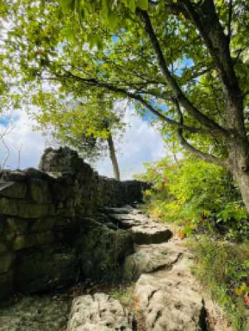 Rattlesnake Point Conservation Area – Clifftop Views and Rugged Trails