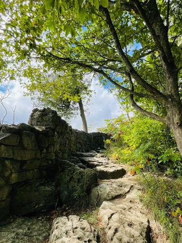Rattlesnake Point Conservation Area – Clifftop Views and Rugged Trails Rattlesnake Point Conservation Area – Clifftop Views and Rugged Trails