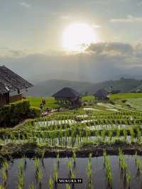 บ้านป่าบงเปียง เสน่ห์นาขั้นบันไดแห่งเชียงใหม่