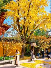 Longhua Temple Shanghai วัดหลงหัว