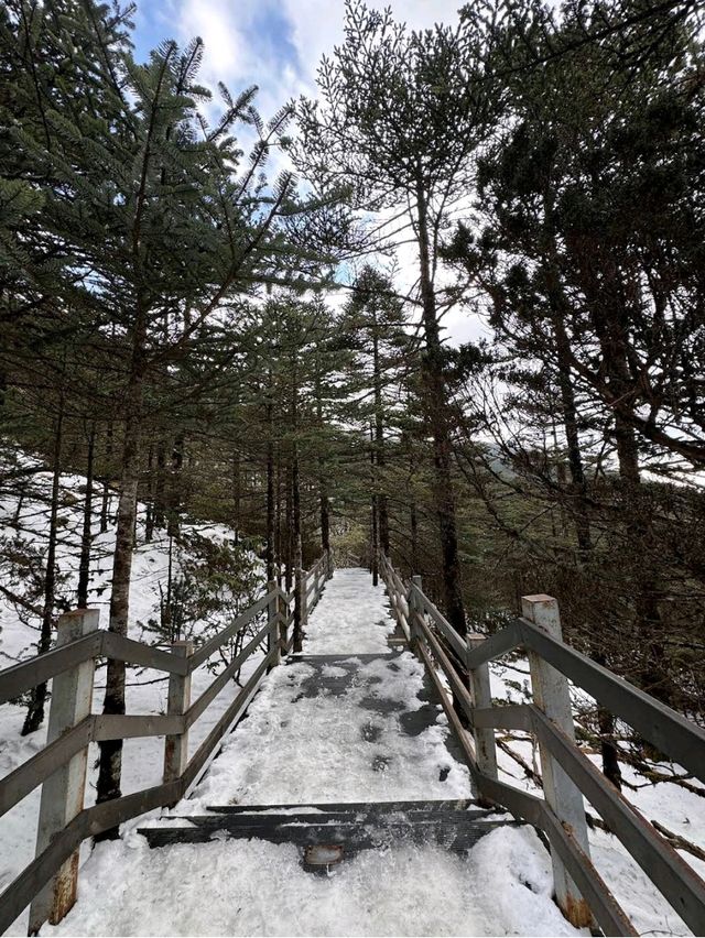 Jiaozi Snow Mountain – near Kunming Jiaozi Snow Mountain – near Kunming
