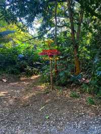 🌊 Hāna Town & Waiʻānapanapa State Park – Maui’s Hidden Gems 🌴✨🇺🇸