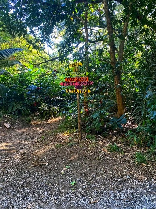 🌊 Hāna Town & Waiʻānapanapa State Park – Maui’s Hidden Gems 🌴✨🇺🇸