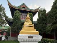 ✨ Henan — A Journey Through Temples, Grottoes & Ancient Capitals