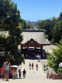 鐮倉｜不只櫻花季絕美 在荷花最美季節造訪鶴岡八幡宮