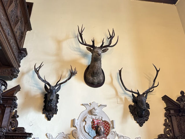 Revolving Around the Beauty of Culture: Eyes – Poland 