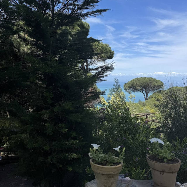 Donabo Gardens – Tangier’s Serene Botanical Refuge Overlooking the Sea