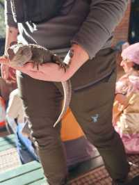 紐西蘭🇳🇿真是 CHILL