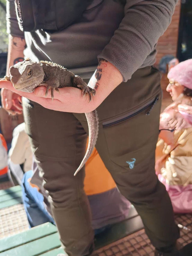 紐西蘭🇳🇿真是 CHILL 紐西蘭🇳🇿真是 CHILL