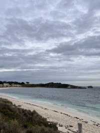 澳洲西岸最夢幻小島——羅特尼斯島