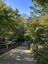 Arakurayama Sengen Park ✨