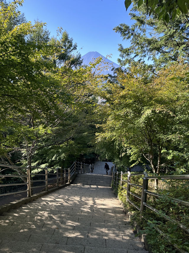 Arakurayama Sengen Park ✨