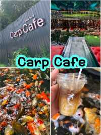 คาเฟ่ที่มีเอกลักษณ์เฉพาะตัว ด้วยบ่อปลาคาฟ