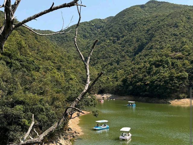Wong Nai Chung Reservoir Park黃泥涌水塘公園