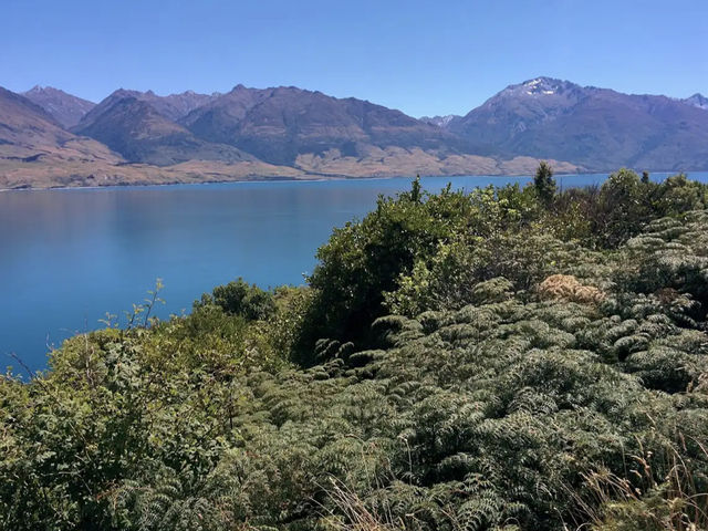 Lake Wānaka