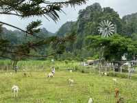 บ้านมุง หมู่บ้านเล็กๆ ในอำเภอเนินมะปราง 🌿