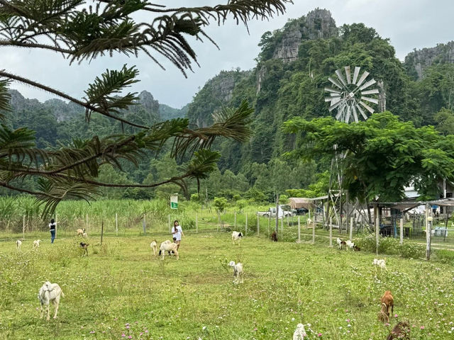 บ้านมุง หมู่บ้านเล็กๆ ในอำเภอเนินมะปราง 🌿