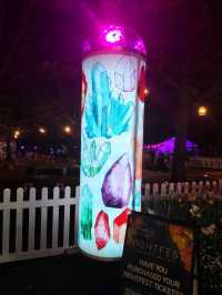🌹Floriade Nightfest🌹