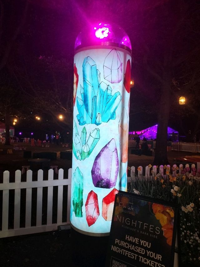 🌹Floriade Nightfest🌹