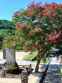 고즈넉한 산사의 평화, 화엄사
