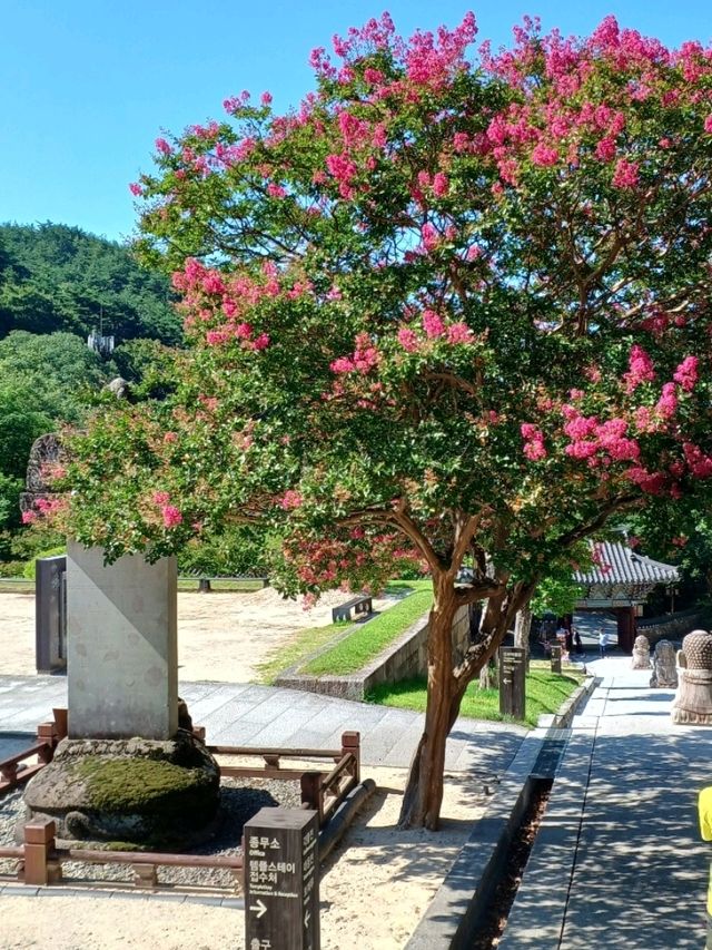 고즈넉한 산사의 평화, 화엄사
