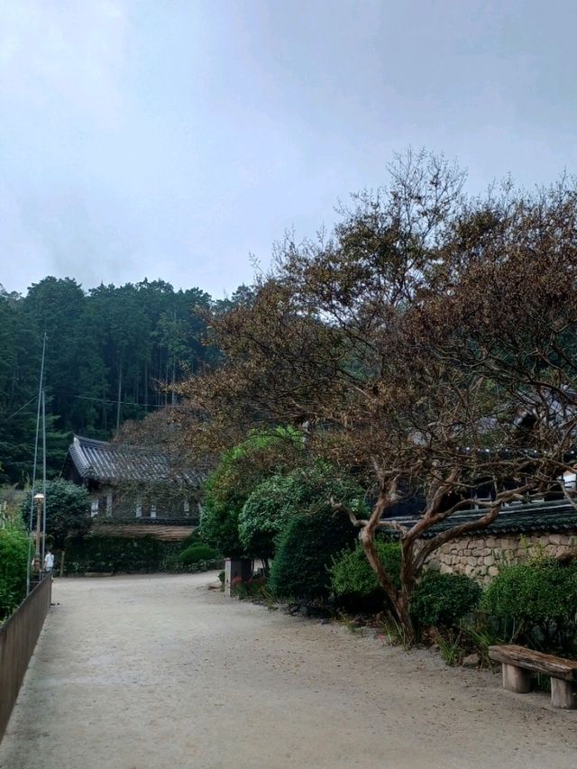자연과 불심이 어우러진 힐링 사찰