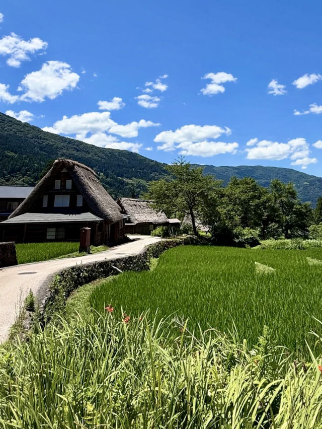 🌳 평화롭고 한적하게 일본의 전통가옥을 구경하실수 있는 🏞️ 도야마 여행지 추천💚 🌳 평화롭고 한적하게 일본의 전통가옥을 구경하실수 있는 🏞️ 도야마 여행지 추천💚