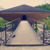 The Sound of Silence: My Solo Day at Shinshoji Zen Museum and Gardens
