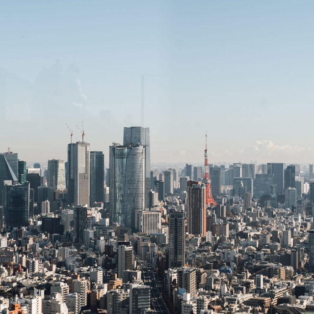 ☁️🗼 SHIBUYA SKY: The Ultimate Tokyo City Viewpoint!
