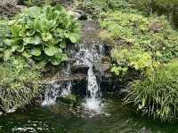 Garden of Morning Calm