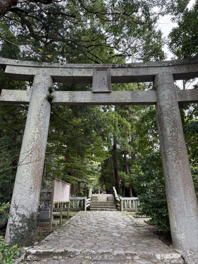海風、白鳥居、龍貓的足跡：我在糸島尋找治癒系的藍