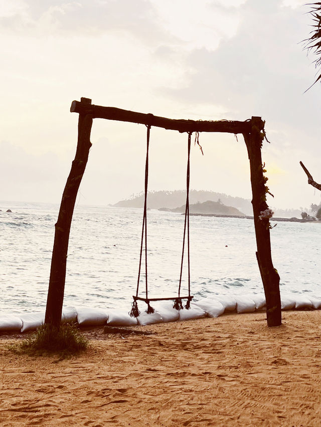 🌴 🇱🇰 Coconut Tree Hill Swing: Swing Between Heaven and Ocean! 🌊 🌴 🇱🇰 Coconut Tree Hill Swing: Swing Between Heaven and Ocean! 🌊