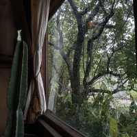 สวนโจ๋น (Jone's Garden)​