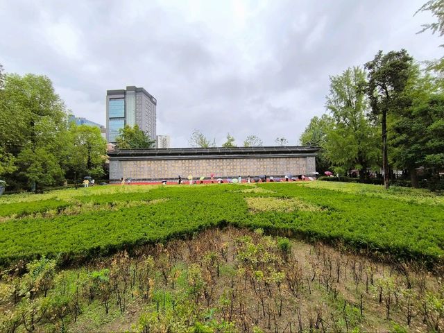 🏵️ ดอกฮิกังบานะเบ่งบานกลางซีอานที่วัด Daxingshan