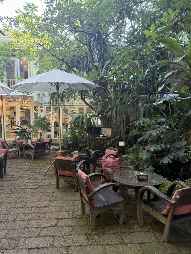 📍คาเฟ่ในสวนเฟิร์นสุดร่มรื่นกลางเมืองเชียงใหม่