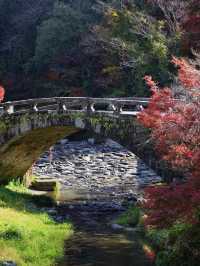 🌸🏯 Whispering Walls of Akizuki Castle Ruins 🍂🌿