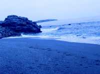 🌊 太平洋を望む絶景スポット・桂浜