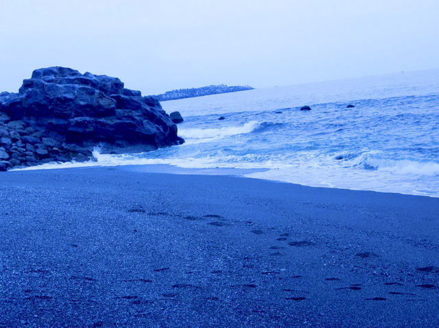 🌊 太平洋を望む絶景スポット・桂浜