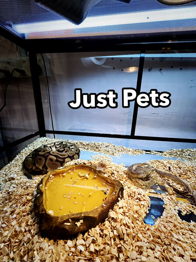Whiskers, Scales & Tiny Wonders at Just Pets Megastore