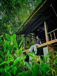 Unplug & Unwind: My Open-Air Stay in Hulu Langat